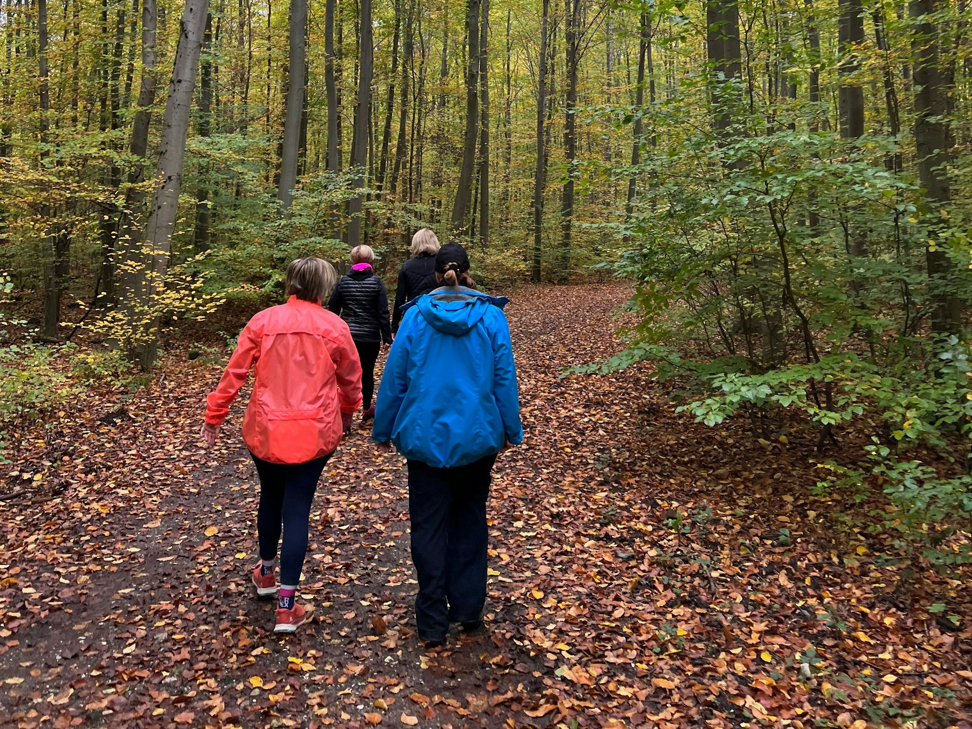 Frauen gehen durch den Wald.