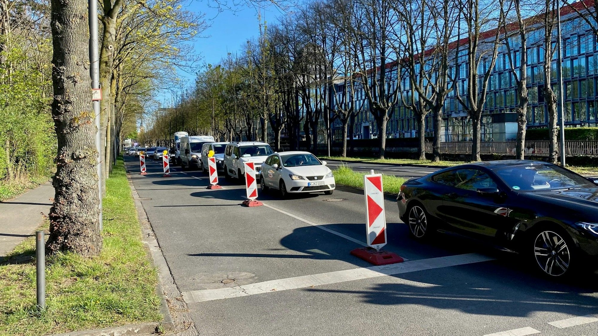 Jeden Morgen, wie hier am Montag (7. April 2025) um 9.30 Uhr, langer Stau am Rheinufer vor den Absperrbaken, die um die StEB-Baustelle herumführen.