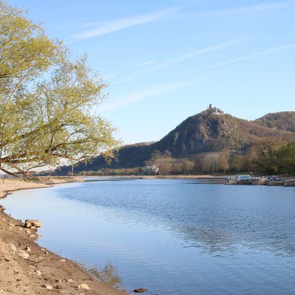 Der alte Rheinarm mit der Nordspitze der Insel Grafenwerth, im Hintergrund der Drachenfels in Königswinter