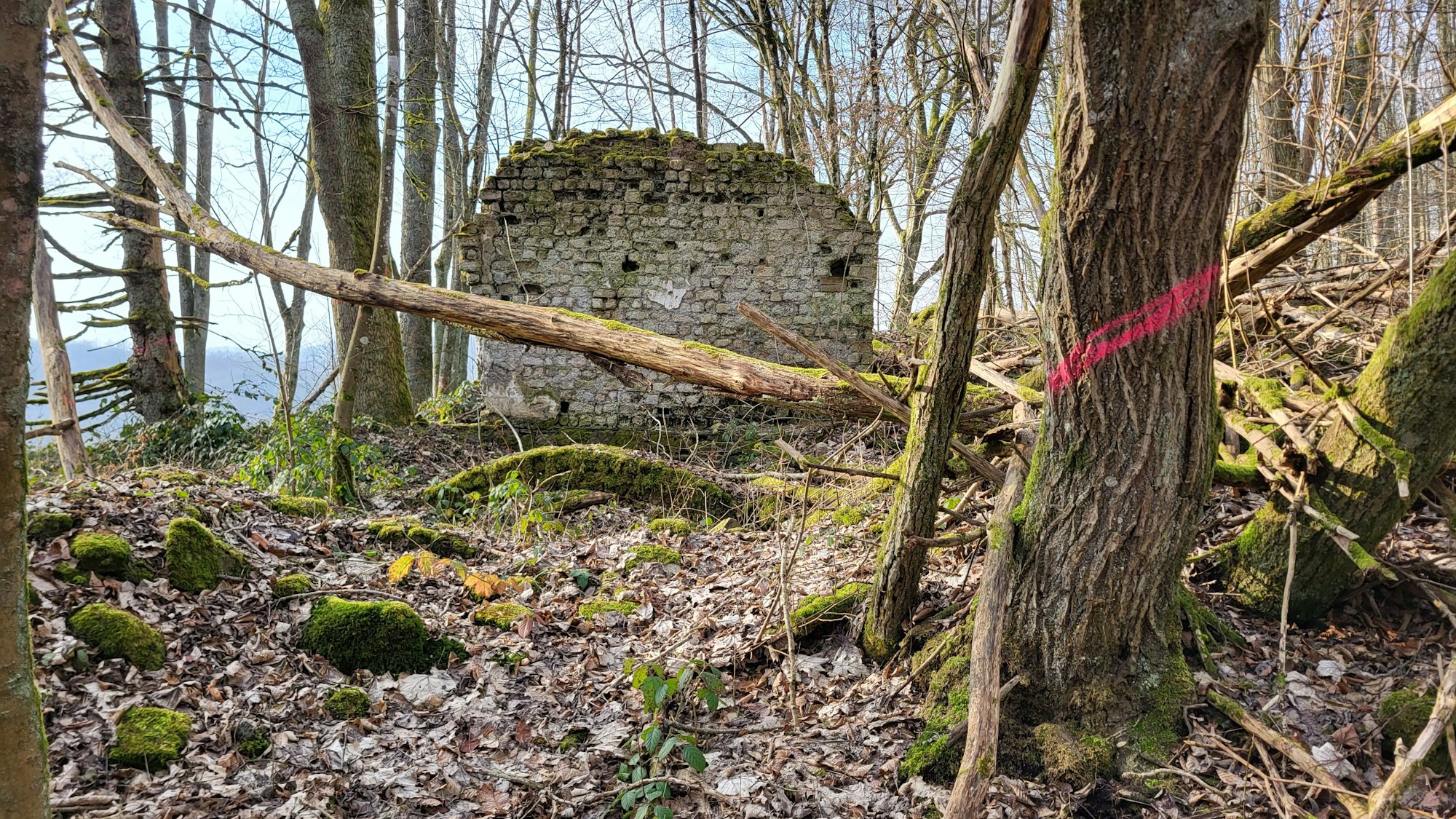 Eine Steinmauer eines der Höfe von Kölschbach ragt gespenstisch in die Höhe.