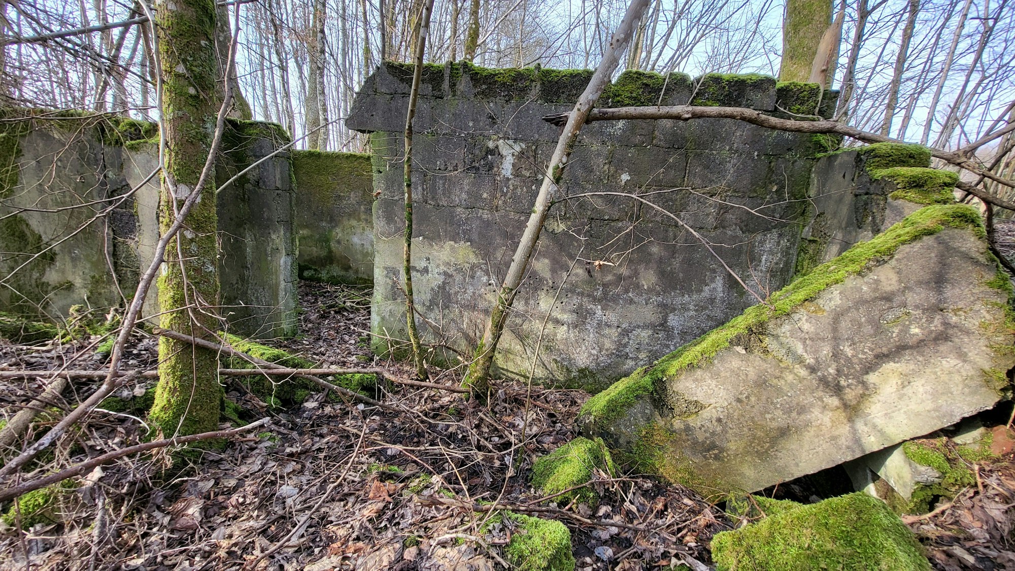 Einige Wände des einstigen Hofes in Kölschbach stehen noch. Den Rest hat ein Feuer endgültig zerstört.