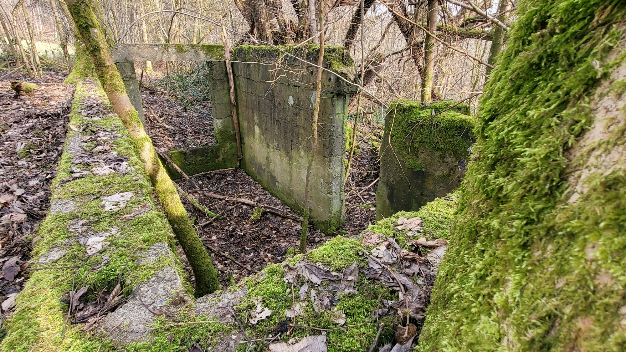 Vermutlich handelt es sich um einen Kellerraum des letzten Hauses in Kölschbach.