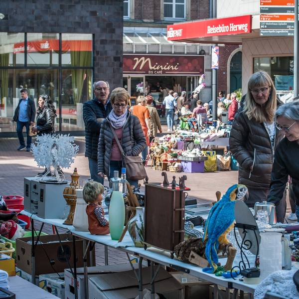 u.A. Blumen, Flohmarkt. Foto: Ralf Krieger