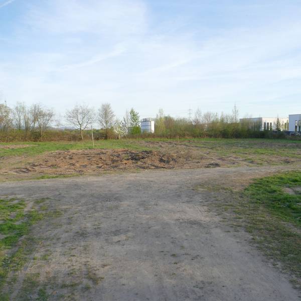 Eine Wiese, im Hintergrund stehen Bäume und einige Industriehallen.