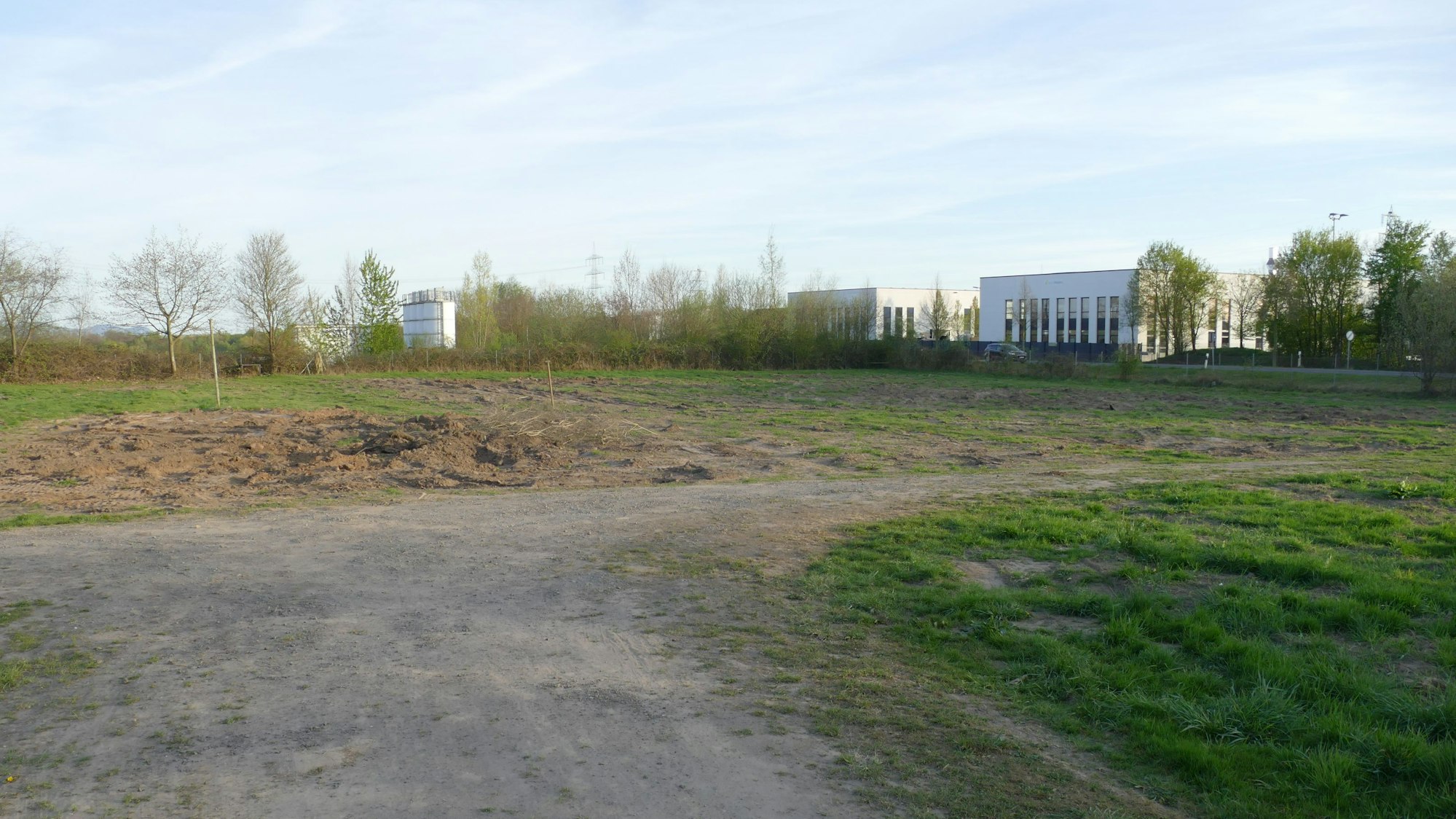 Eine Wiese, im Hintergrund stehen Bäume und einige Industriehallen.