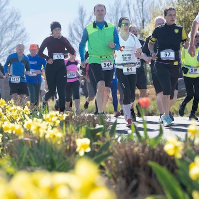 Die Teilnehmer des Chlodwiglaufs haben Zettel mit ihren Startnummern an der Kleidung befestigt. Sie laufen im Seepark Zülpich an blühenden Narzissen vorbei.