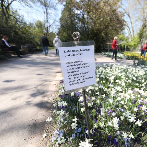 Auf dem Gelände von Flora und Botanischer Garten warnen Schilder die Besucher davor, Pflanzen zu stehlen.