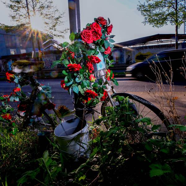 09.04.2025, Köln: Ein weiß lackiertes Fahrrad, ein sogenanntes Geisterrad, das mit roten Rosen geschmückt ist, erinnert am Straßenrand an Miriam Scheidel, die als Unbeteiligt bei einem illegalen Autorennen getötet wurde.