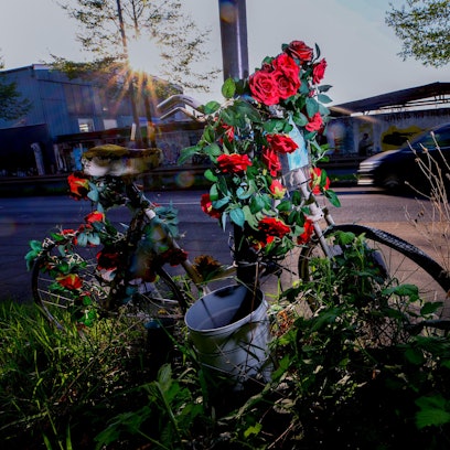 09.04.2025, Köln: Auf dem Auenweg erinnert ein weiß lackiertes Fahrrad, ein sogenanntes Geisterrad an die bei einem illegalen Autorennen getötete Miriam Scheidel. Vor 10 Jahren, am 14.7.2015, fuhren zwei Raser die 19-jährige Studentin auf dem Radweg tot. Foto: Thilo Schmülgen