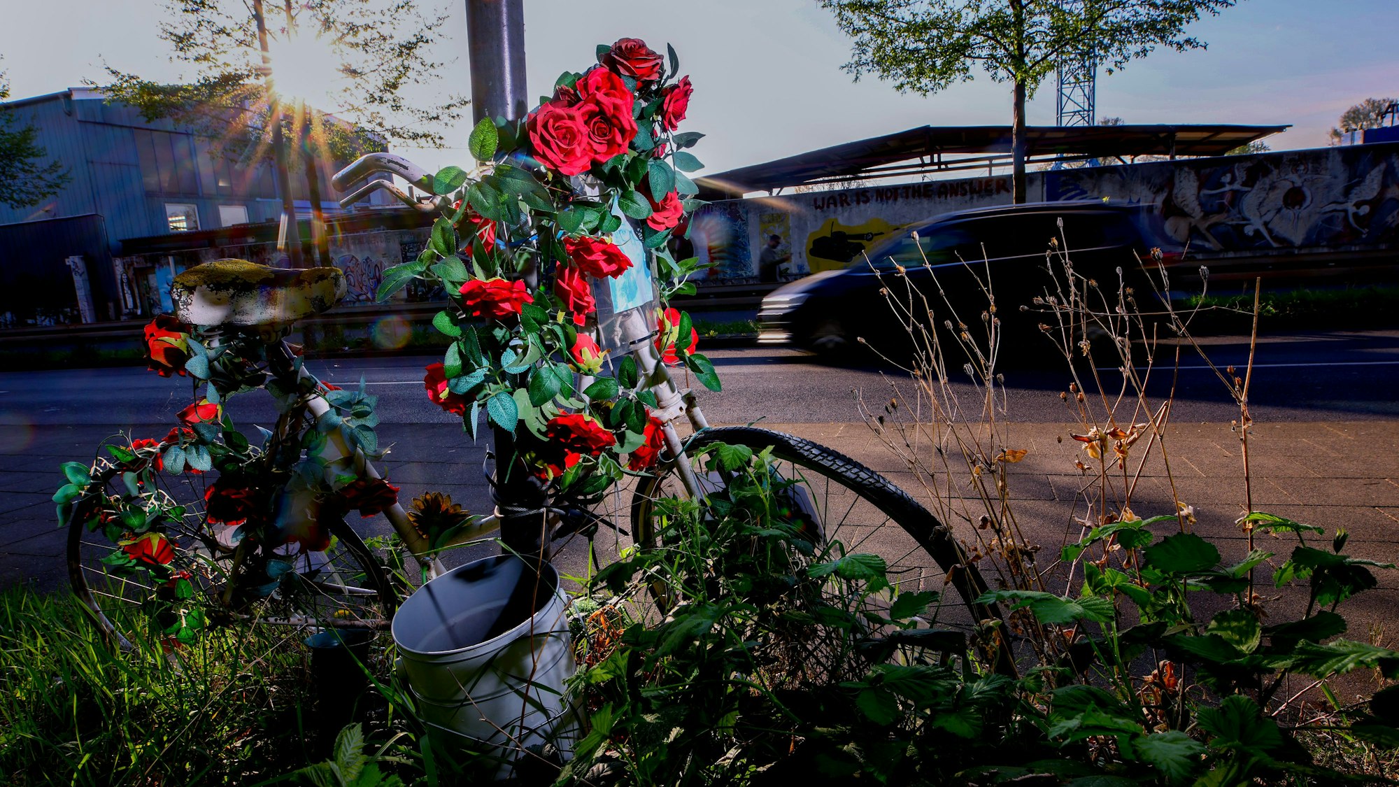 09.04.2025, Köln: Ein weiß lackiertes Fahrrad, ein sogenanntes Geisterrad, das mit roten Rosen geschmückt ist, erinnert am Straßenrand an Miriam Scheidel, die als Unbeteiligt bei einem illegalen Autorennen getötet wurde.