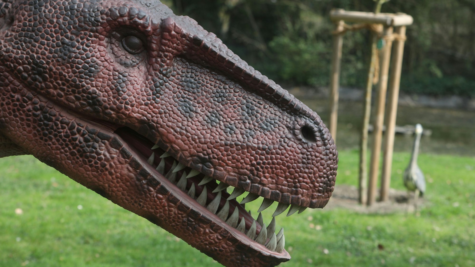 Das Aussterben der Dinos gilt als das letzte große natürliche Artensterben.