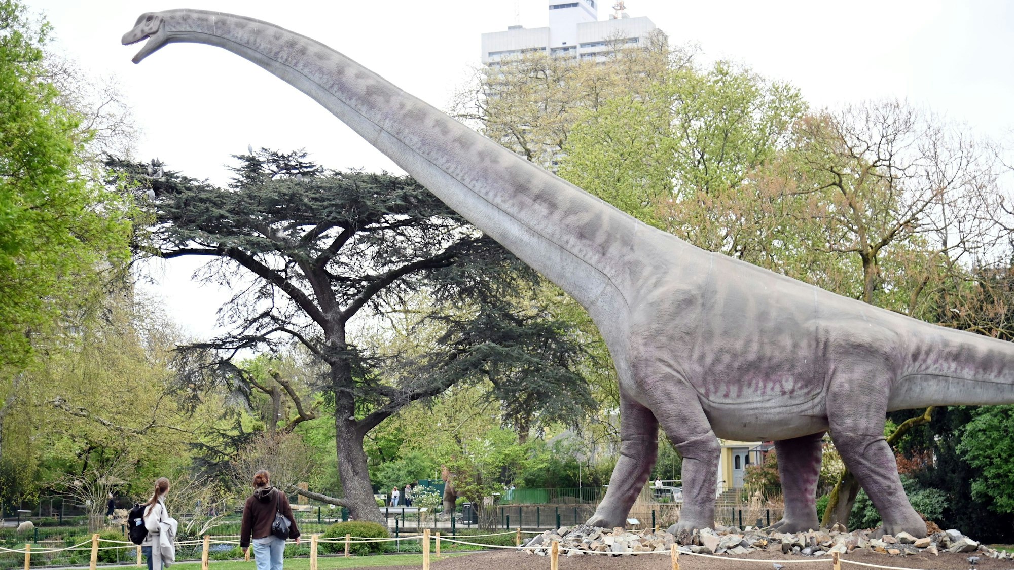 Zum 165-jährigen Bestehen hat der Kölner Zoo die Dinoworld entwickelt.