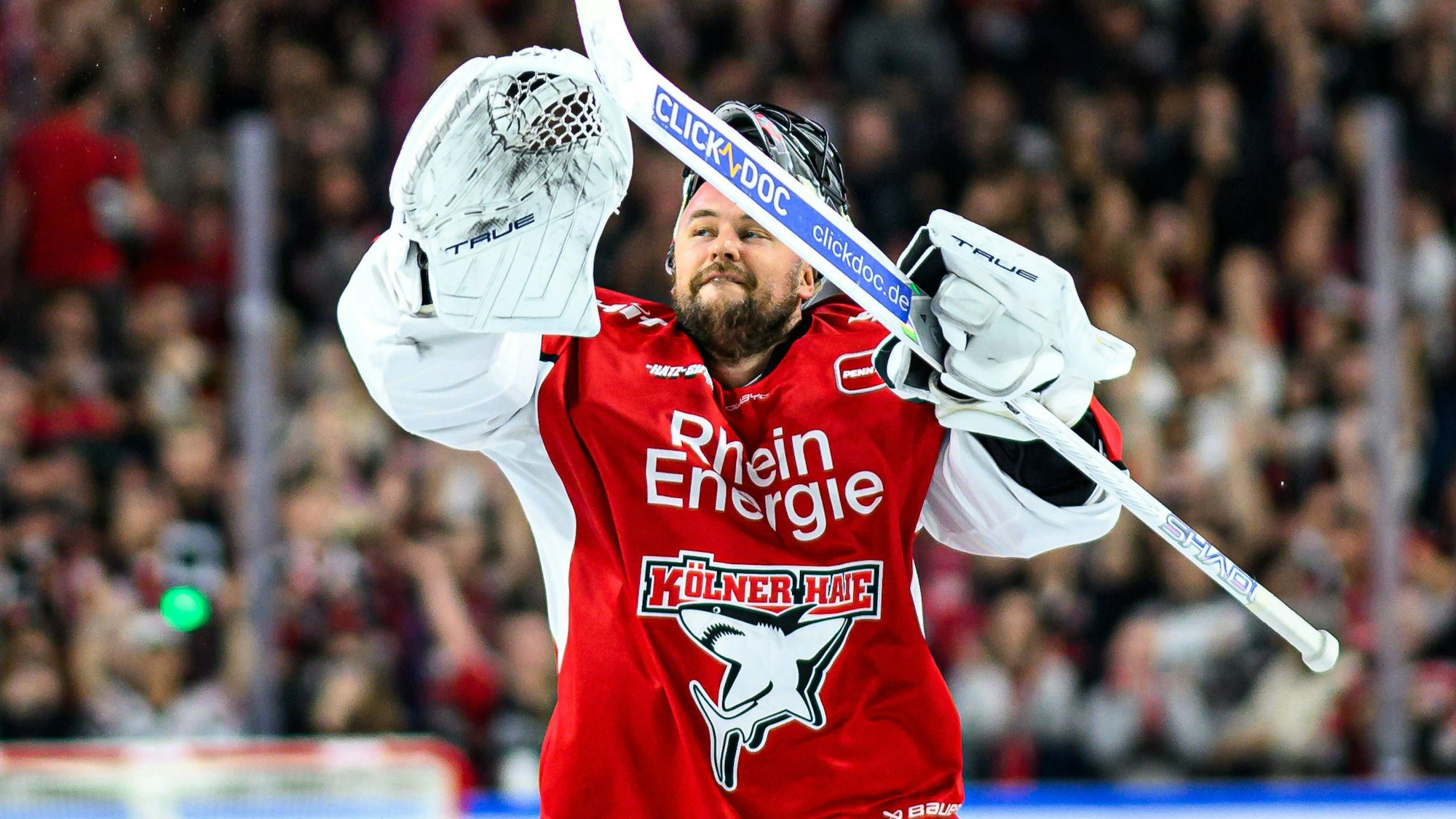 Haie-Torhüter Julius Hudacek. (Archivbild)