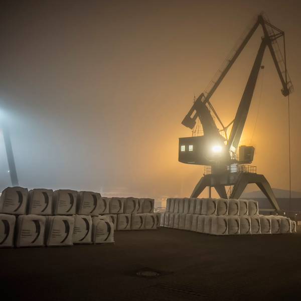 Hafen Niehl, Hafenkran im Nebel. Foto: Ralf Krieger