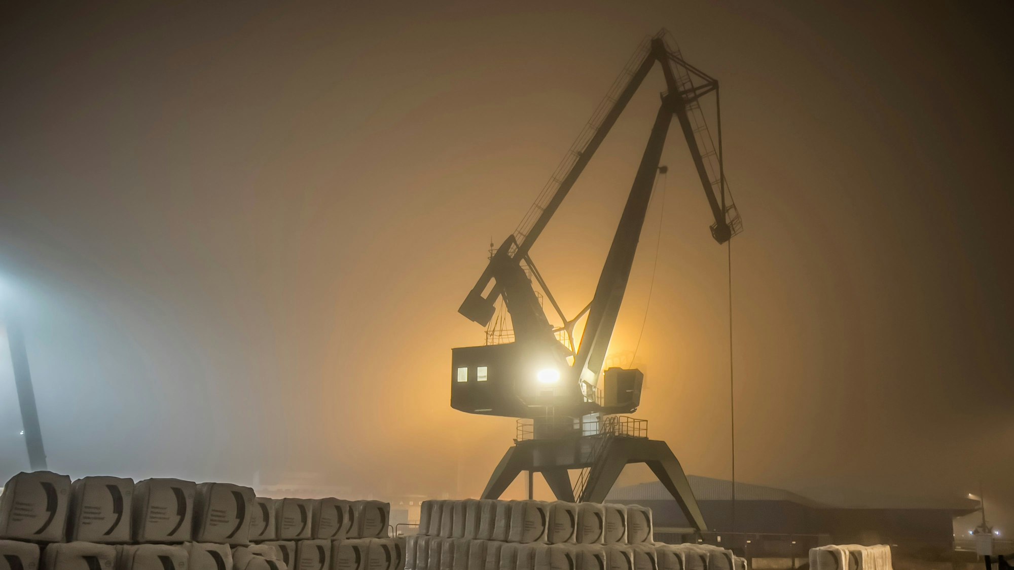 Hafen Niehl, Hafenkran im Nebel.