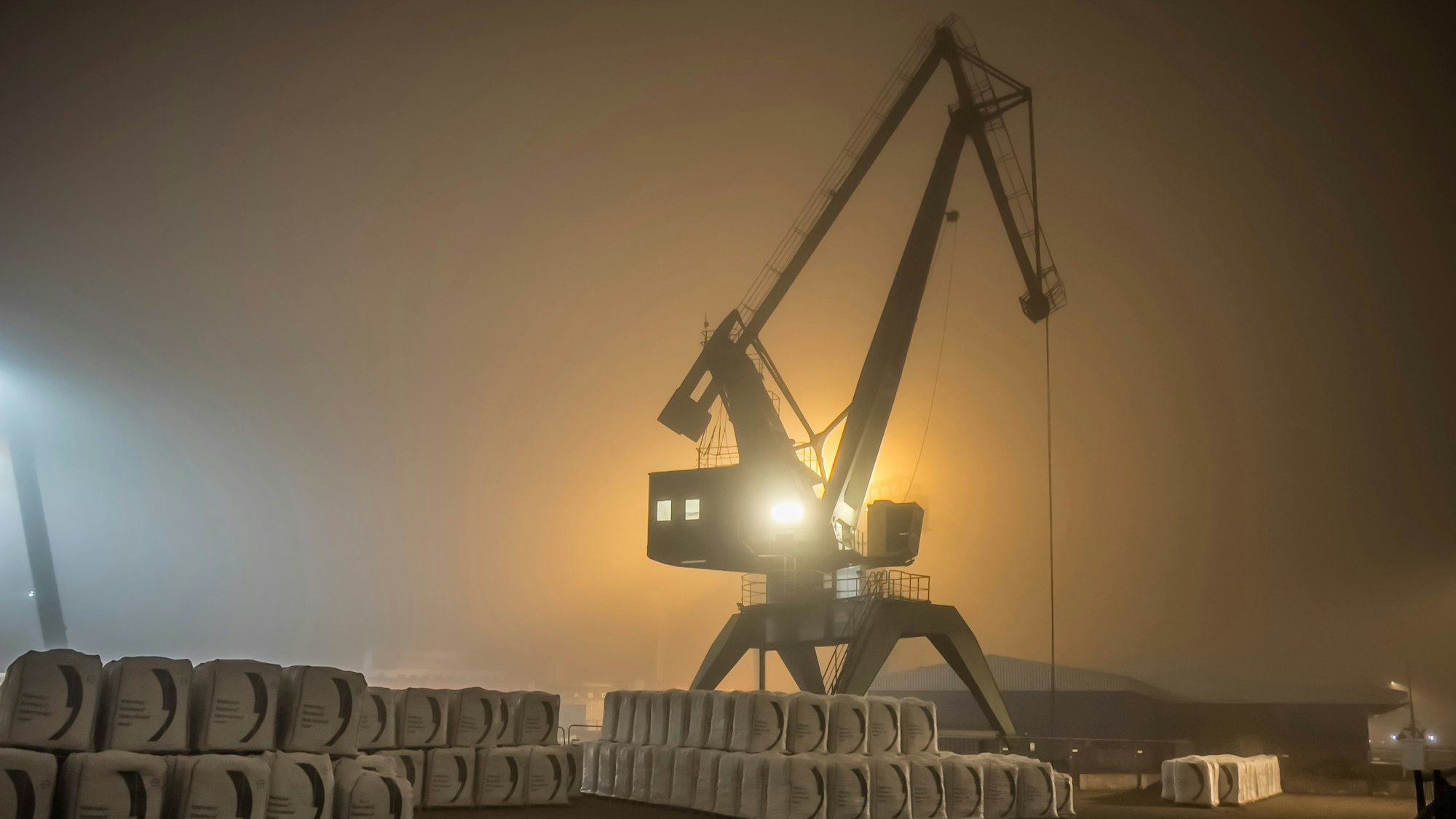 Hafen Niehl, Hafenkran im Nebel. Foto: Ralf Krieger