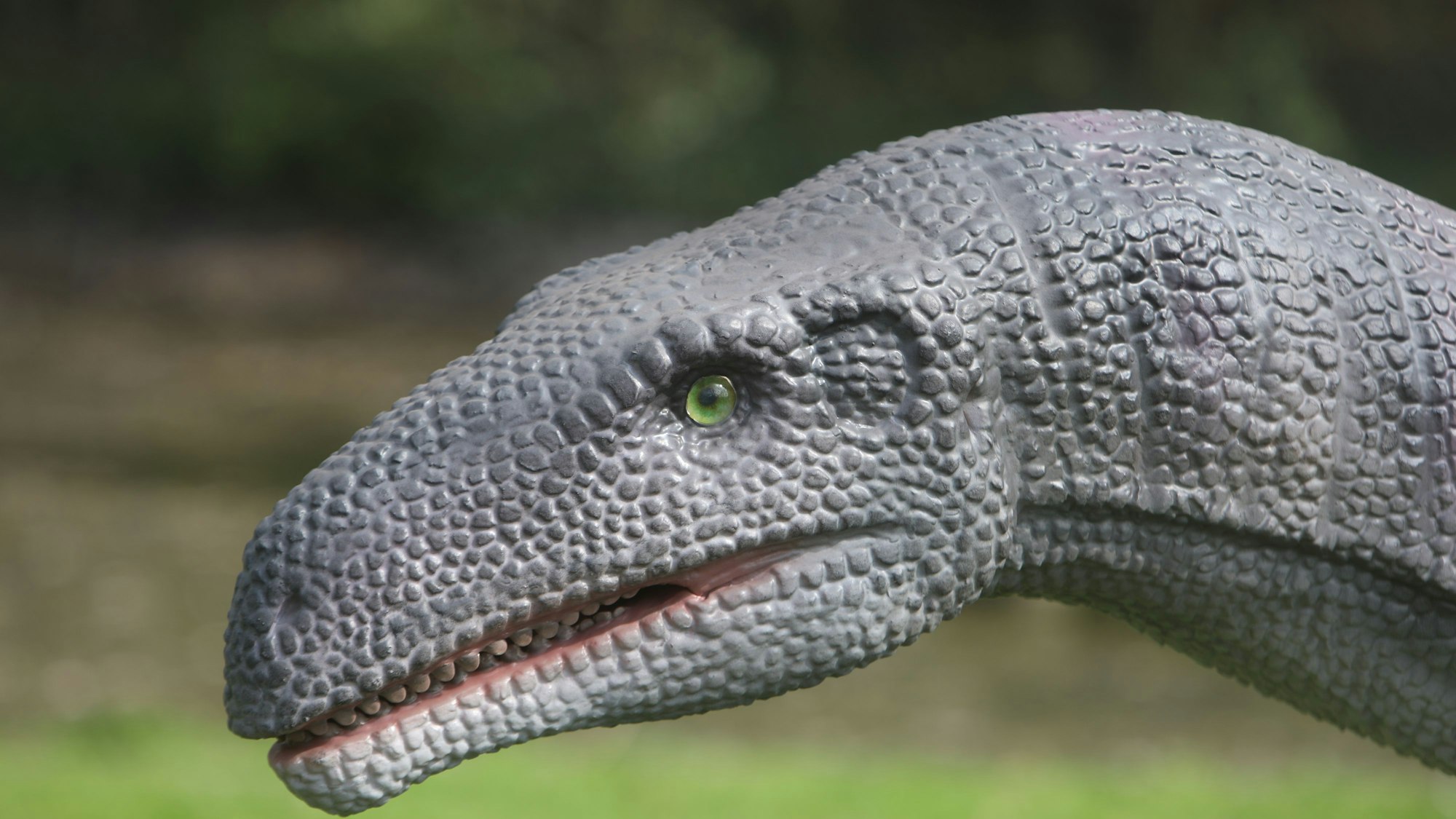 24 lebensgroße Dinosaurier sind im Zoo verteilt.