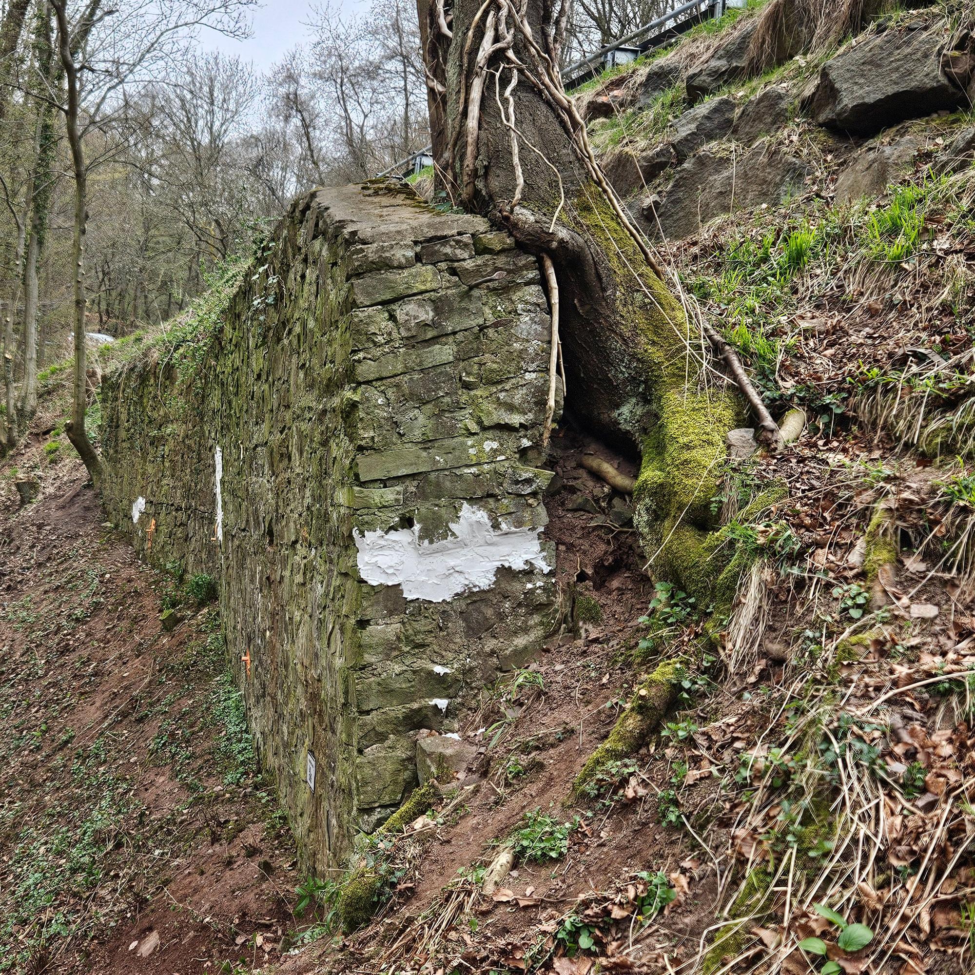 Blick auf die gemauerte Stützwand, in der ein Baum eingewachsen ist.