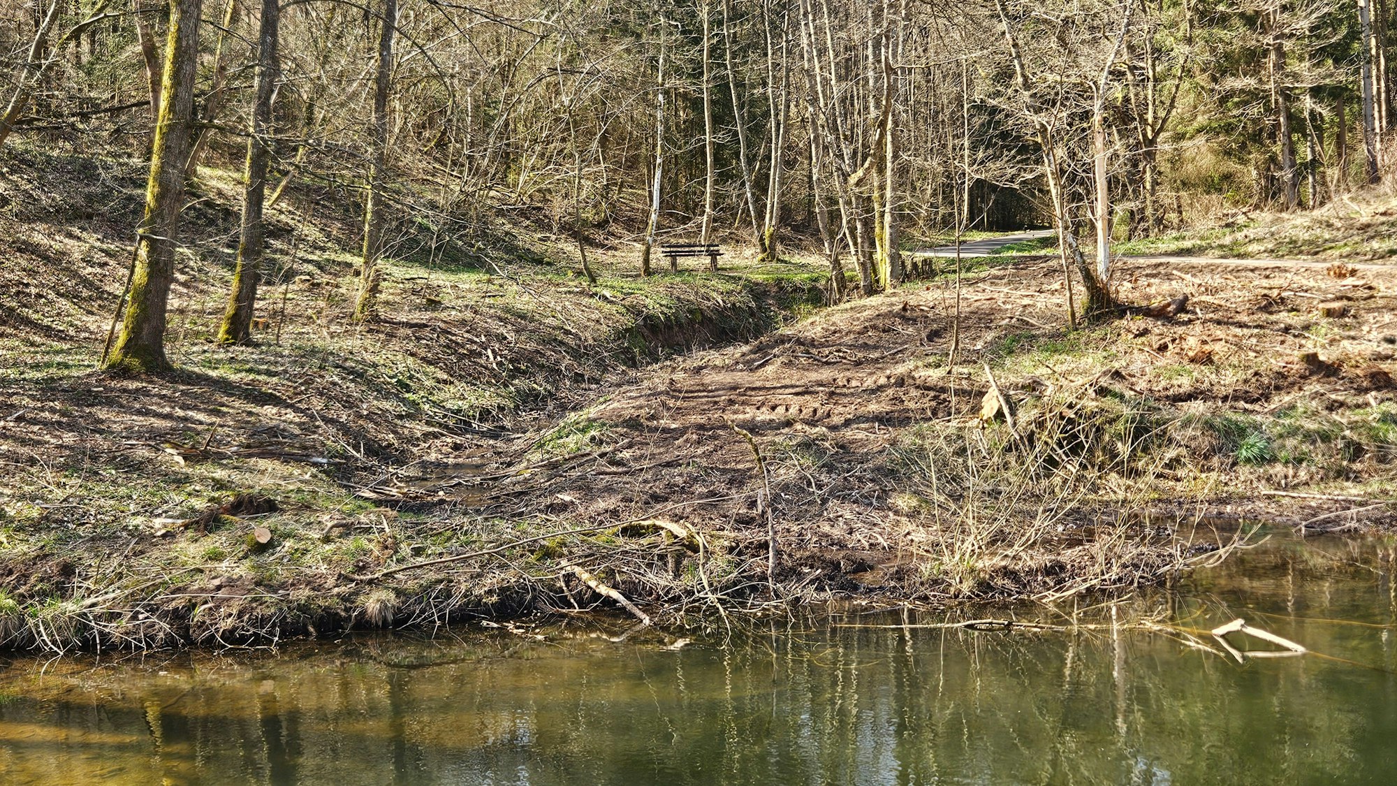 Die Aufnahme zeigt einen Bach, der in der Natur liegt.