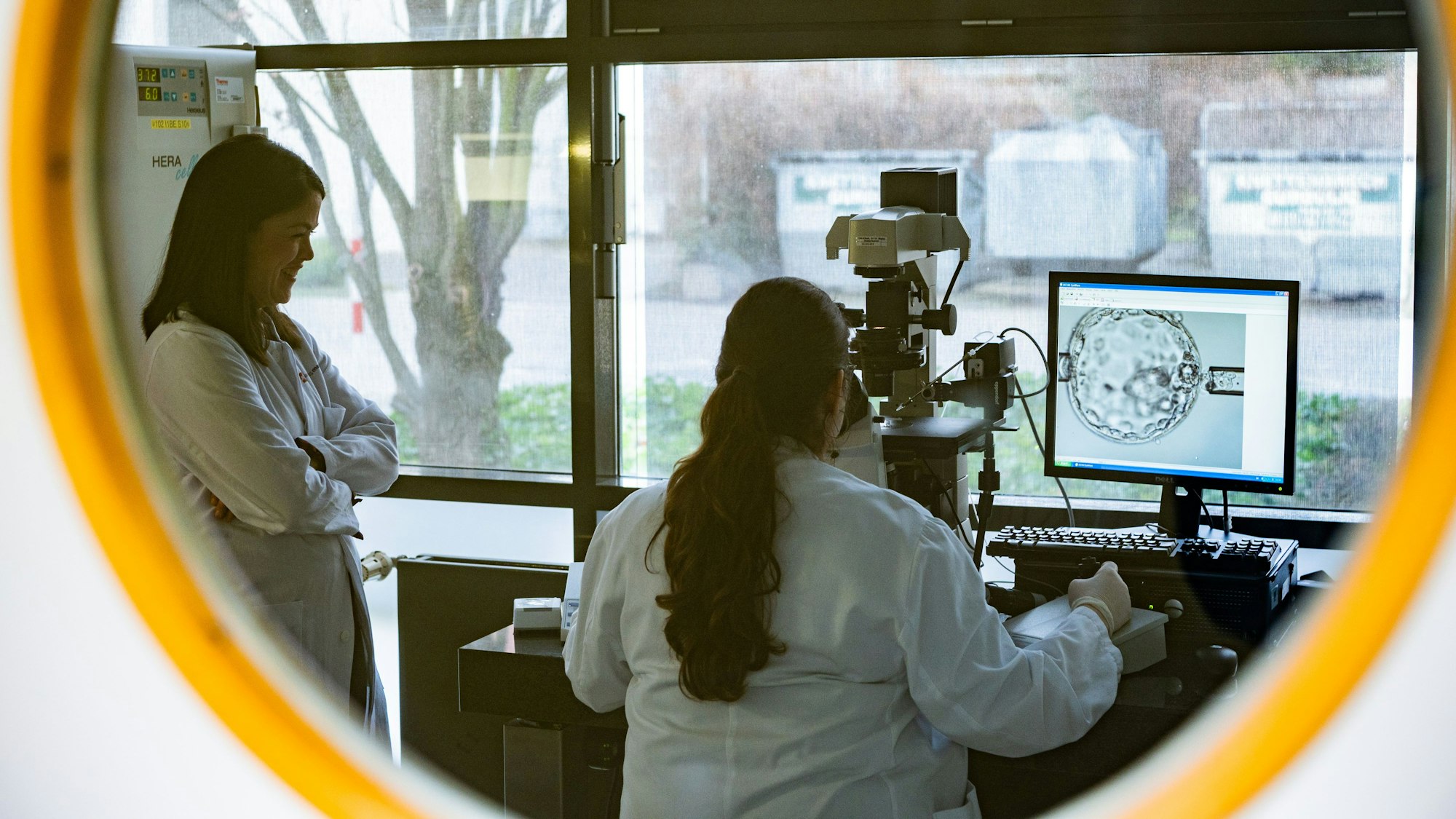 In Brisbane trug eine Frau unwissentlich den Embryo einer anderen aus; Ursache war menschliches Versagen bei Monash IVF. (Symbolbild)