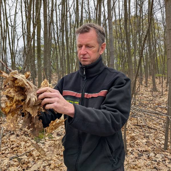 Das Foto zeigt den Förster mit einer Handvoll Laub im Wald am Otto-Maigler-See.
