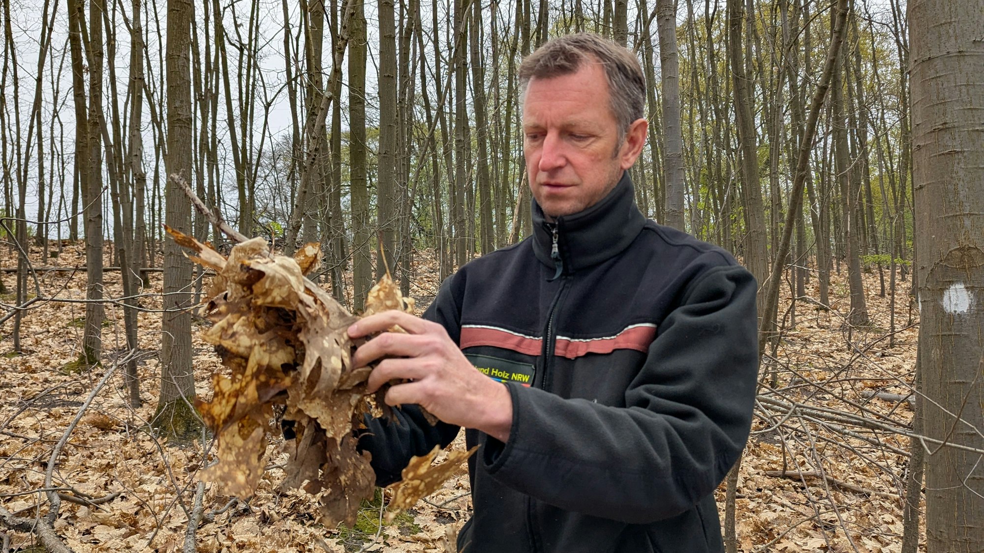 Das Foto zeigt den Förster mit einer Handvoll Laub im Wald am Otto-Maigler-See.