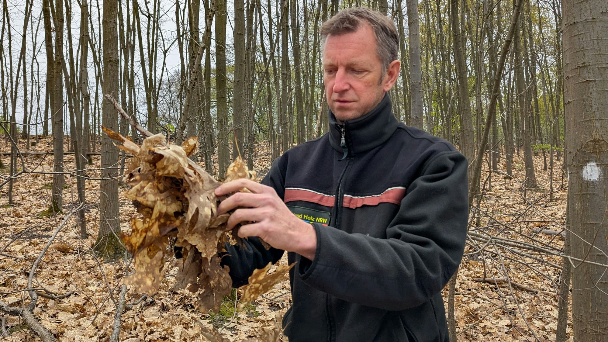 Auf dem Foto ist ein Mann im Wald zu sehen. Er hält Laub in seinen Händen.