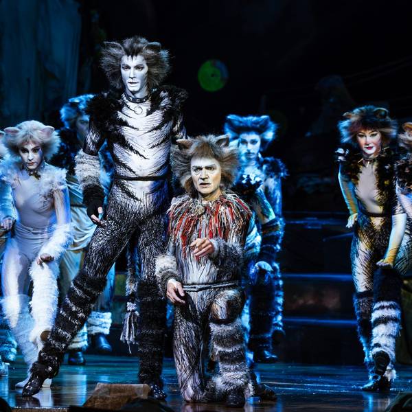 Eine Gruppe als Katzen kostümierte Darsteller aus dem Musical „Cats“