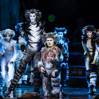 Eine Gruppe als Katzen kostümierte Darsteller aus dem Musical „Cats“