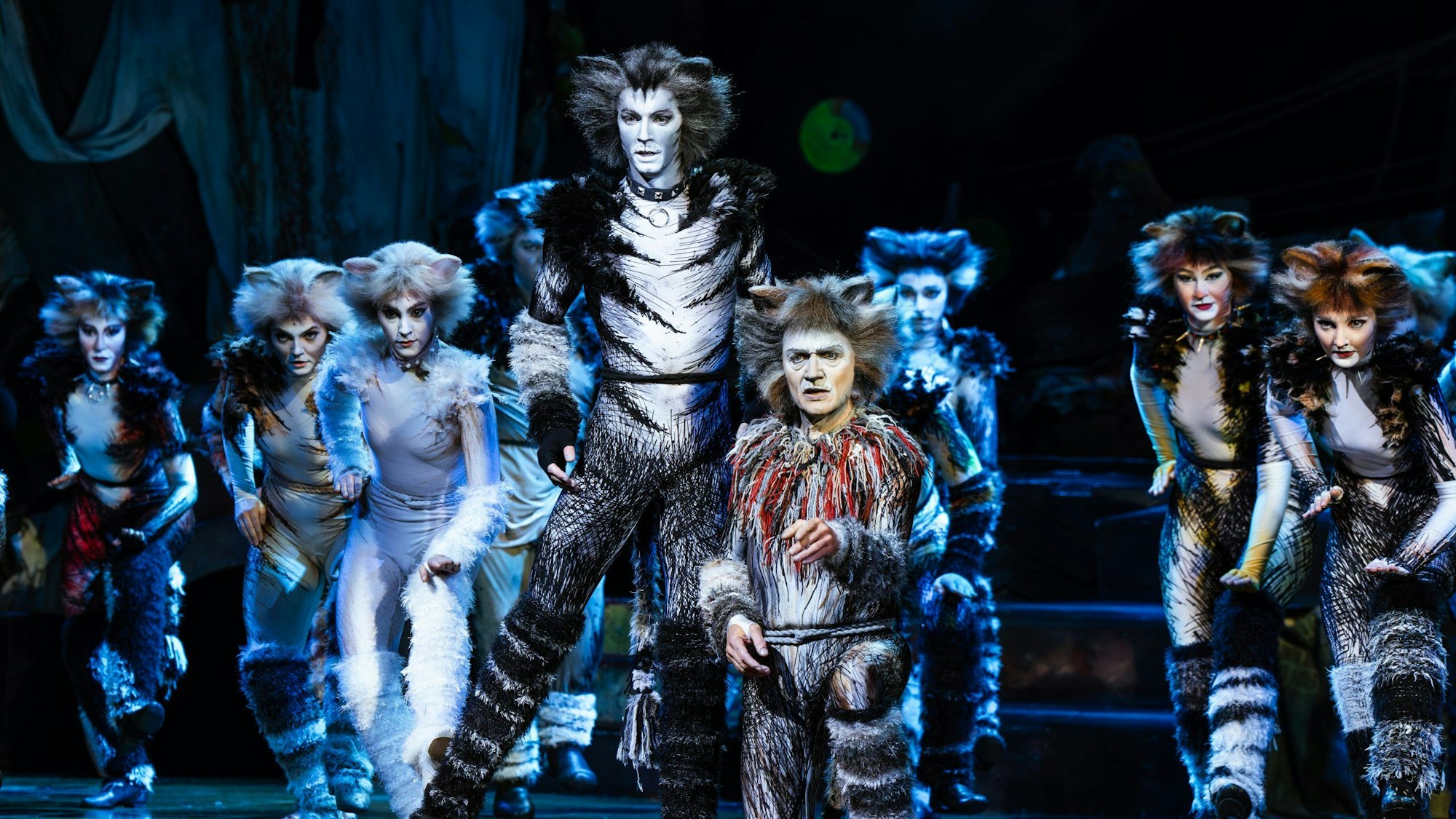 Eine Gruppe als Katzen kostümierte Darsteller aus dem Musical „Cats“