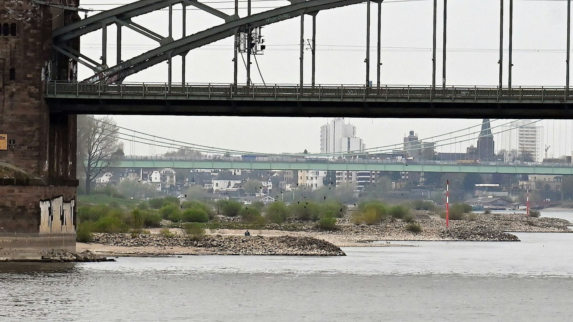 Blick auf das Niedrigwasser vom KD Schiff. Der aktuelle Pegel in Köln beträgt am Freitagmorgen (Stand 7 Uhr) nur 1,46 Meter.