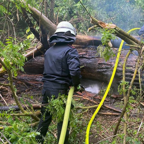 Auf dem Foto ist ein Feuerwehrmann zu sehen, der in einem Wald einen Brand löscht.