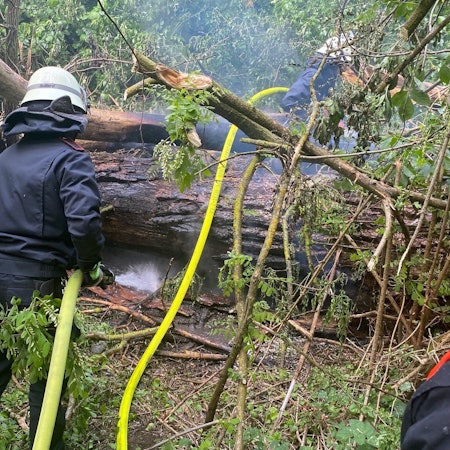 Auf dem Foto ist ein Feuerwehrmann zu sehen, der in einem Wald einen Brand löscht.