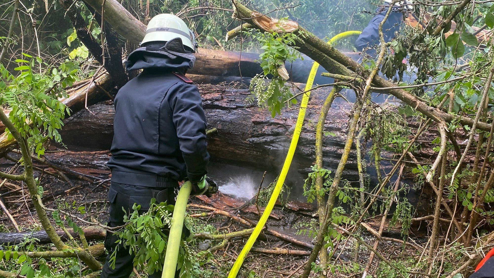Auf dem Foto ist ein Feuerwehrmann zu sehen, der in einem Wald einen Brand löscht.