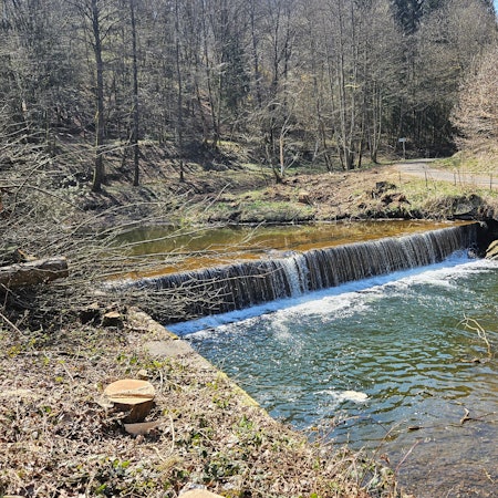 Bei einem Wehr fließt Wasser. Sie ist umgeben von Bäumen.