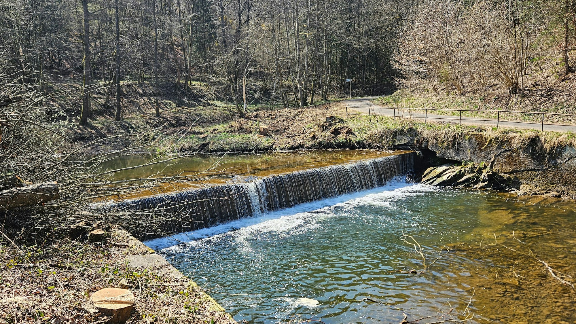 Bei einem Wehr fließt Wasser. Sie ist umgeben von Bäumen.