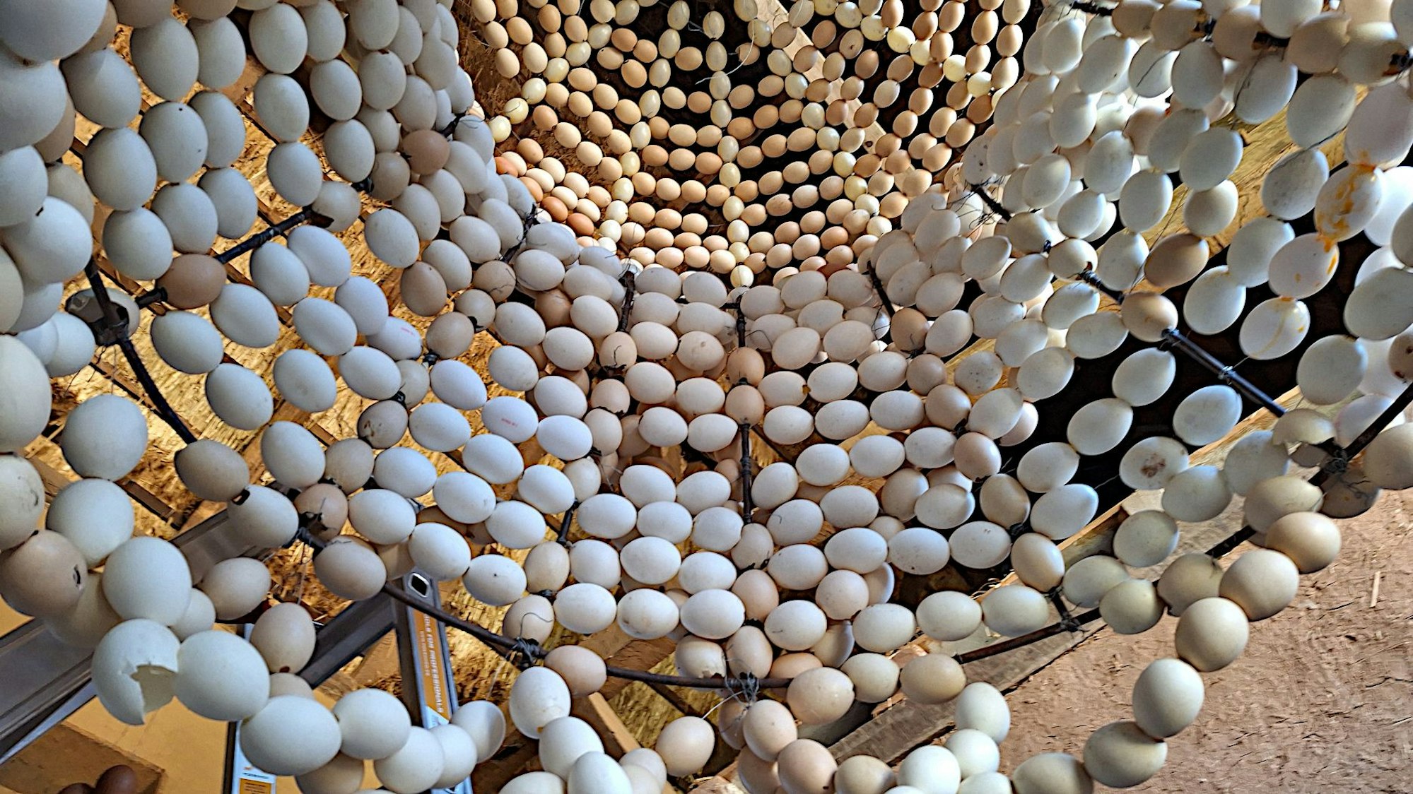 Das Bild zeigt einen Blick ins Innere der Eierkrone.