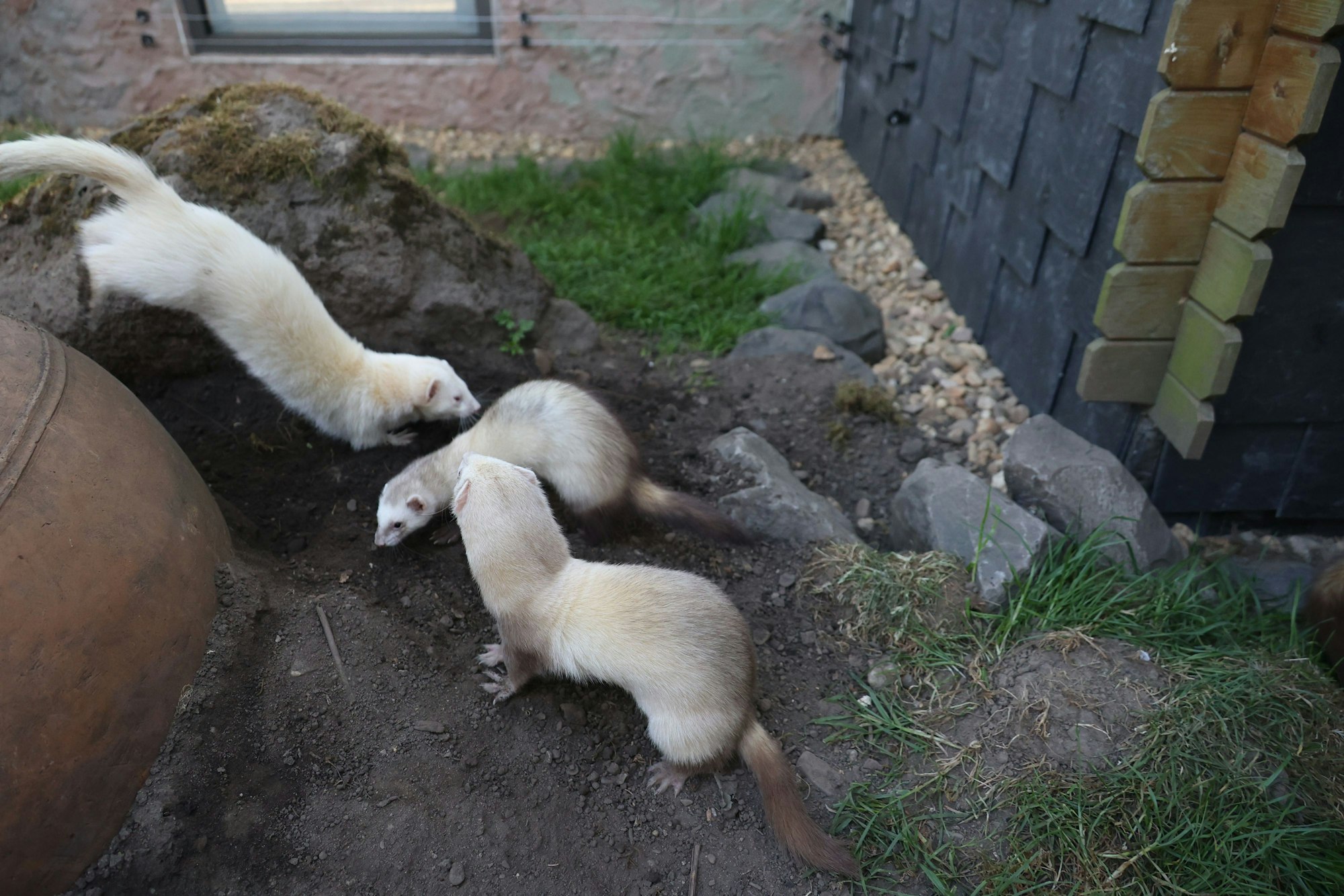Auch ein großzügiges Außengelände gehört dazu.