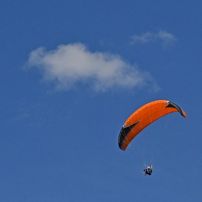 Ein Paragleiter in der Luft.