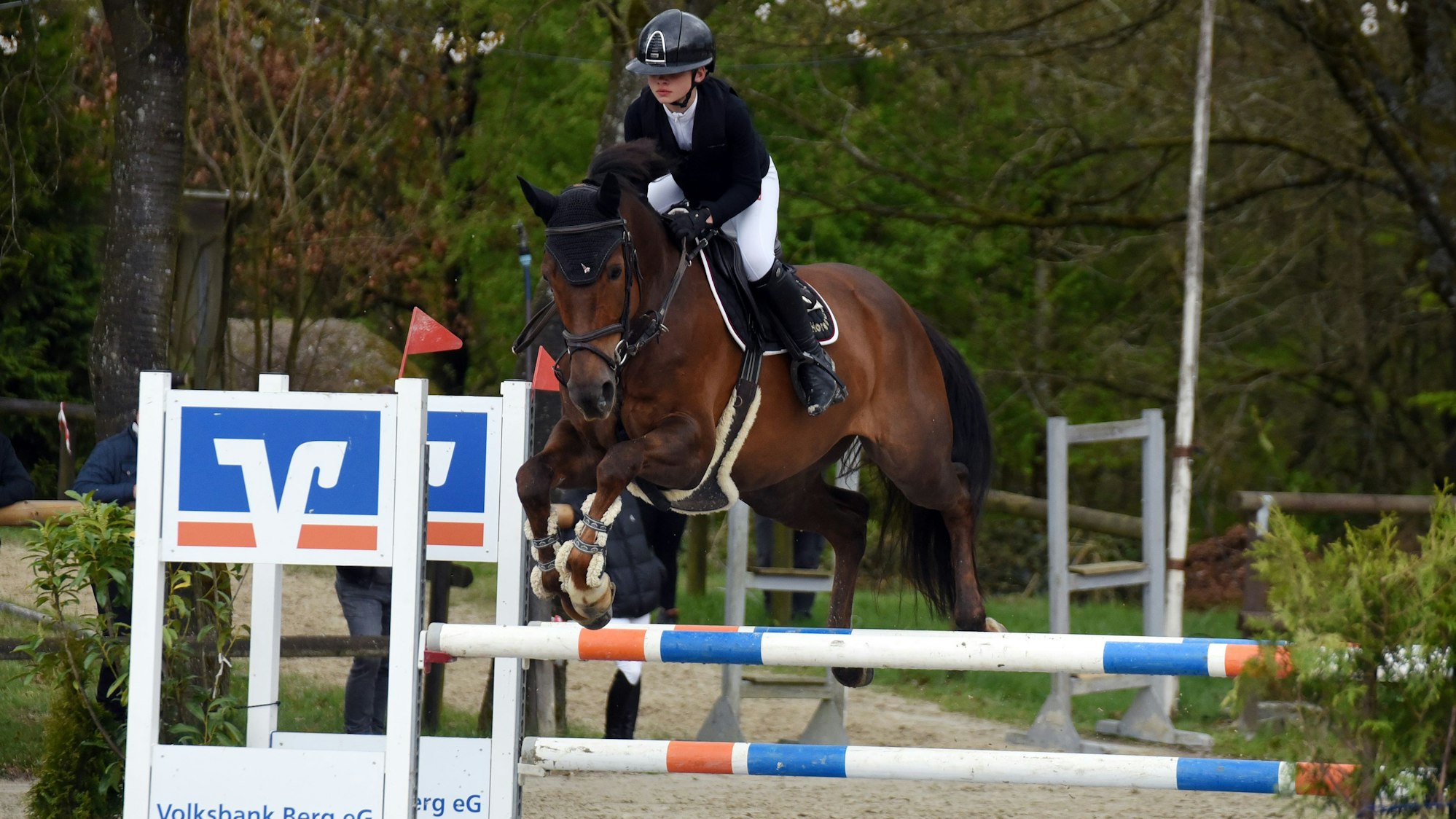 Zu sehen ist eine Szene aus dem Pferdespringsport.