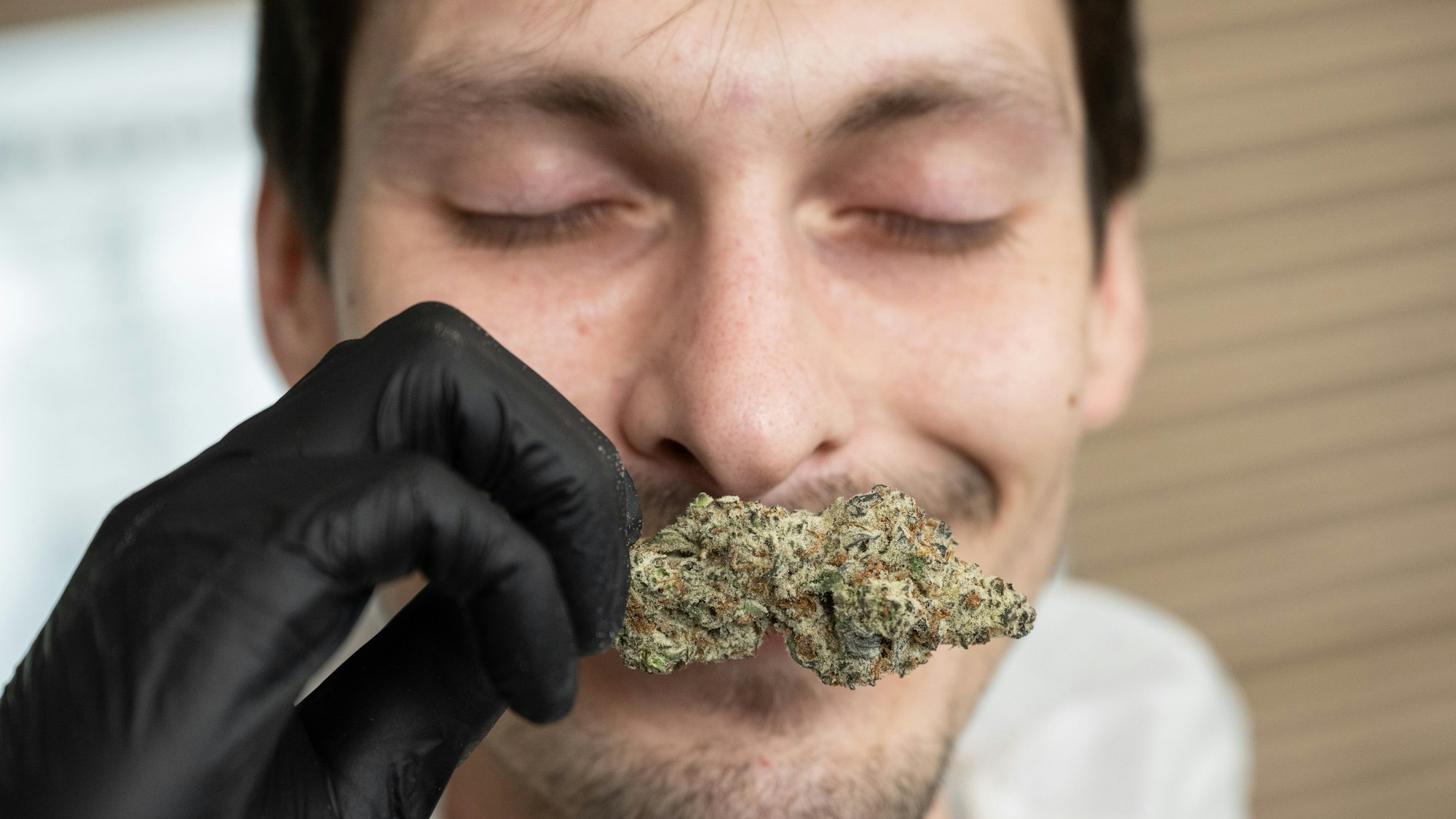 das Foto zeigt einen Mitarbeiter des „Cannabis Social Club Rhoihesse“ der an einer getrockneten Cannabis-Blüte riecht.