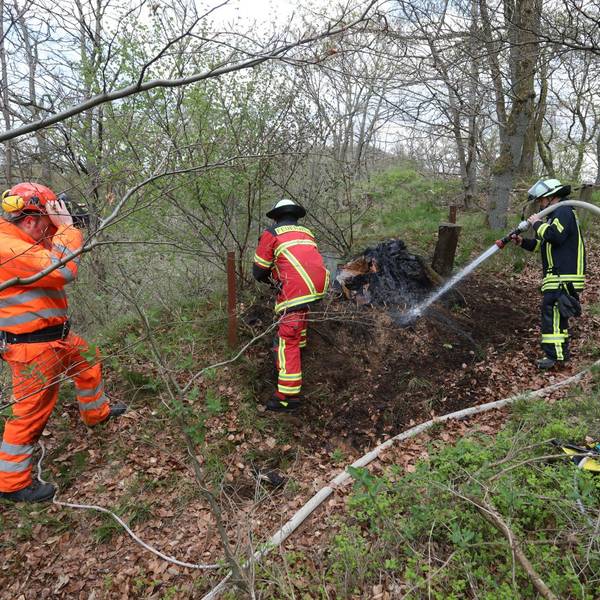 Feuerwehrleute im Einsatz im Waldgelände.