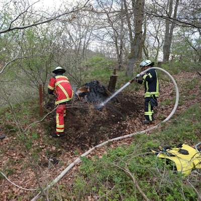 Feuerwehrleute im Einsatz im Waldgelände.