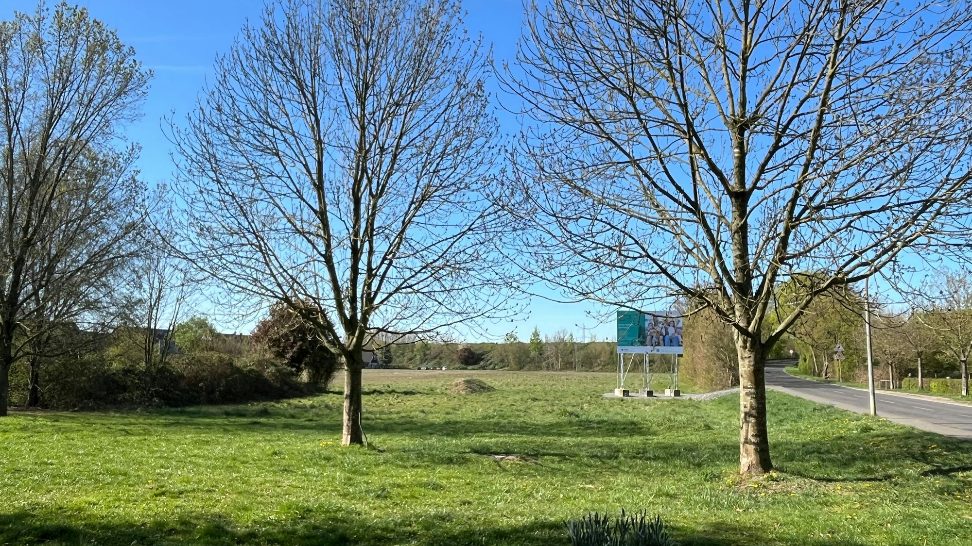 Eine Wiese mit Bäumen in Porz-Lind, auf der ein klimagerechtes Wohnungsbau-Projekt verwirklicht werden soll.