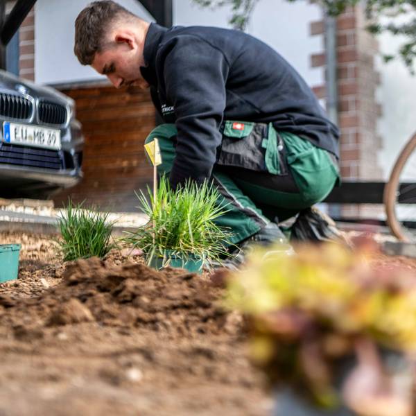 Das Bild zeigt einen Landschafts- und Gartenbauer, der Blumen einpflanzt.
