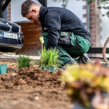 Das Bild zeigt einen Landschafts- und Gartenbauer, der Blumen einpflanzt.