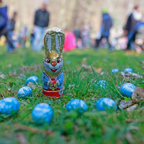 Süße Eier und Hasen liegen zum Osterfest auf einer Wiese im Garten.