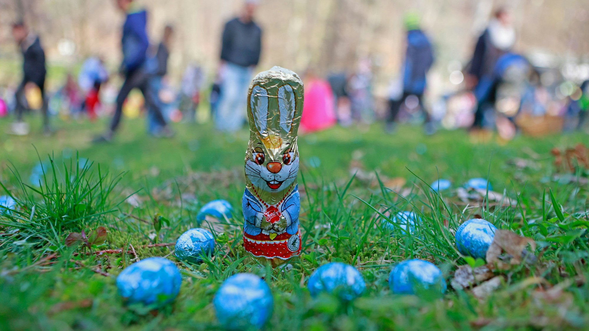 Ganz Oberberg geht am Ostersonntag und am Ostermontag auf die Suche: Zum Beispiel im Affen- und Vogelpark in der Reichshofer Ortschaft Eckenhagen (Am Bromberg 6) und im Waldbröler Naturerlebnispark Panarbora (Nutscheidstraße 1). In Lindlar lädt zudem das Freilichtmuseum des LVR an beiden Ostertagen, jeweils in der Zeit von 10 bis 18 Uhr, zur großen Suche ein: Kleine und große Gäste können über das gesamte Gelände, Heiligenhoven 16a, streifen, den Blick schweifen lassen und bunte Beute machen.