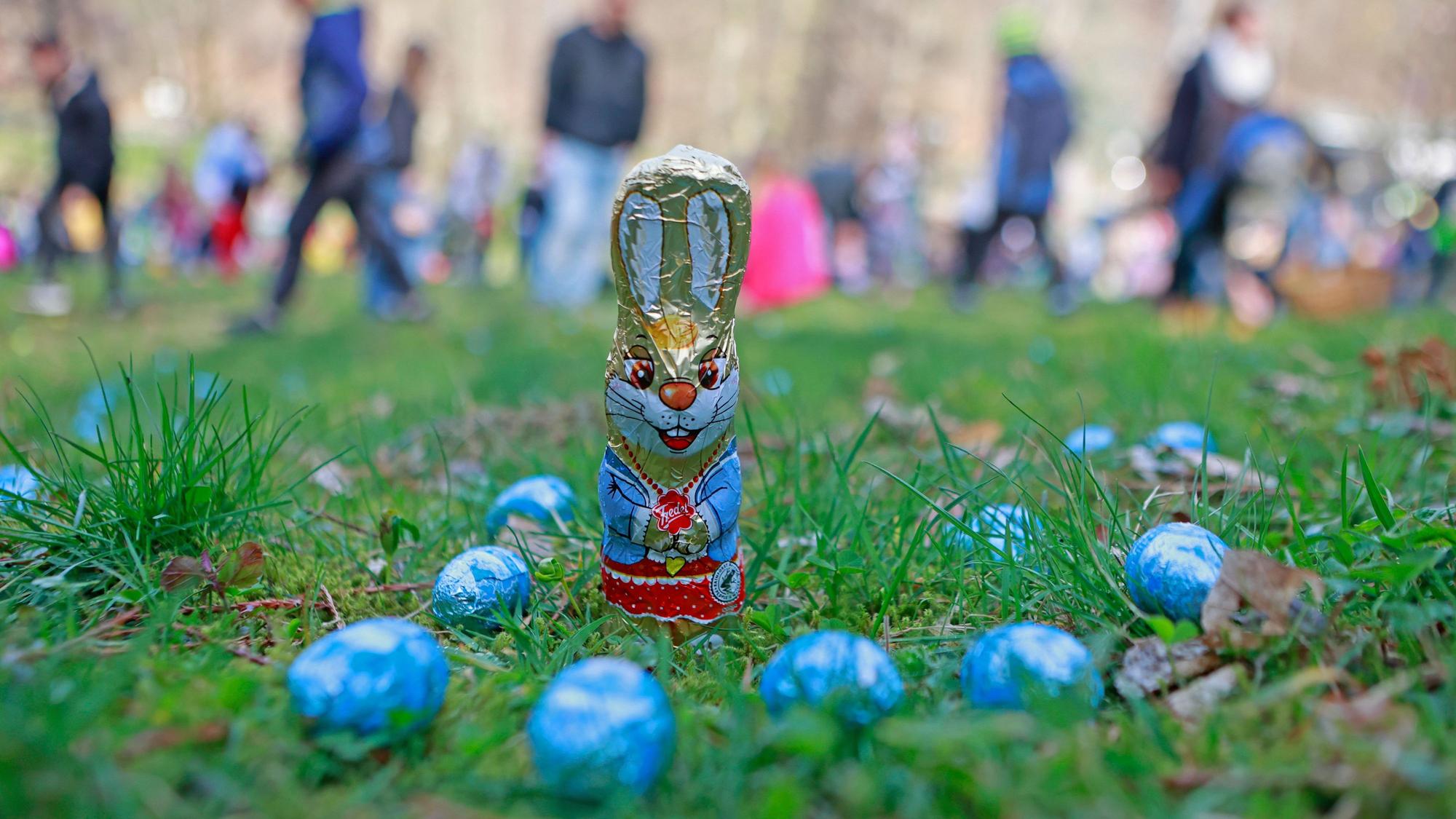 Süße Eier und Hasen liegen zum Osterfest auf einer Wiese im Garten.