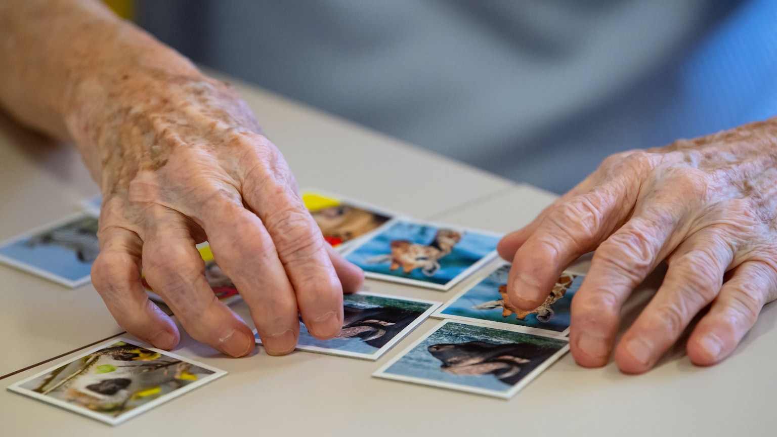 ARCHIV - 17.11.2020, Bayern, Krailling: Eine Bewohnerin eines Altenheims spielt auf einer Pflegestation das Spiel «Memory» und legt Kartenpaare zusammen. (zu dpa: «Antikörper Lecanemab: Wie er wirkt und wem er helfen kann») Foto: Sven Hoppe/dpa +++ dpa-Bildfunk +++